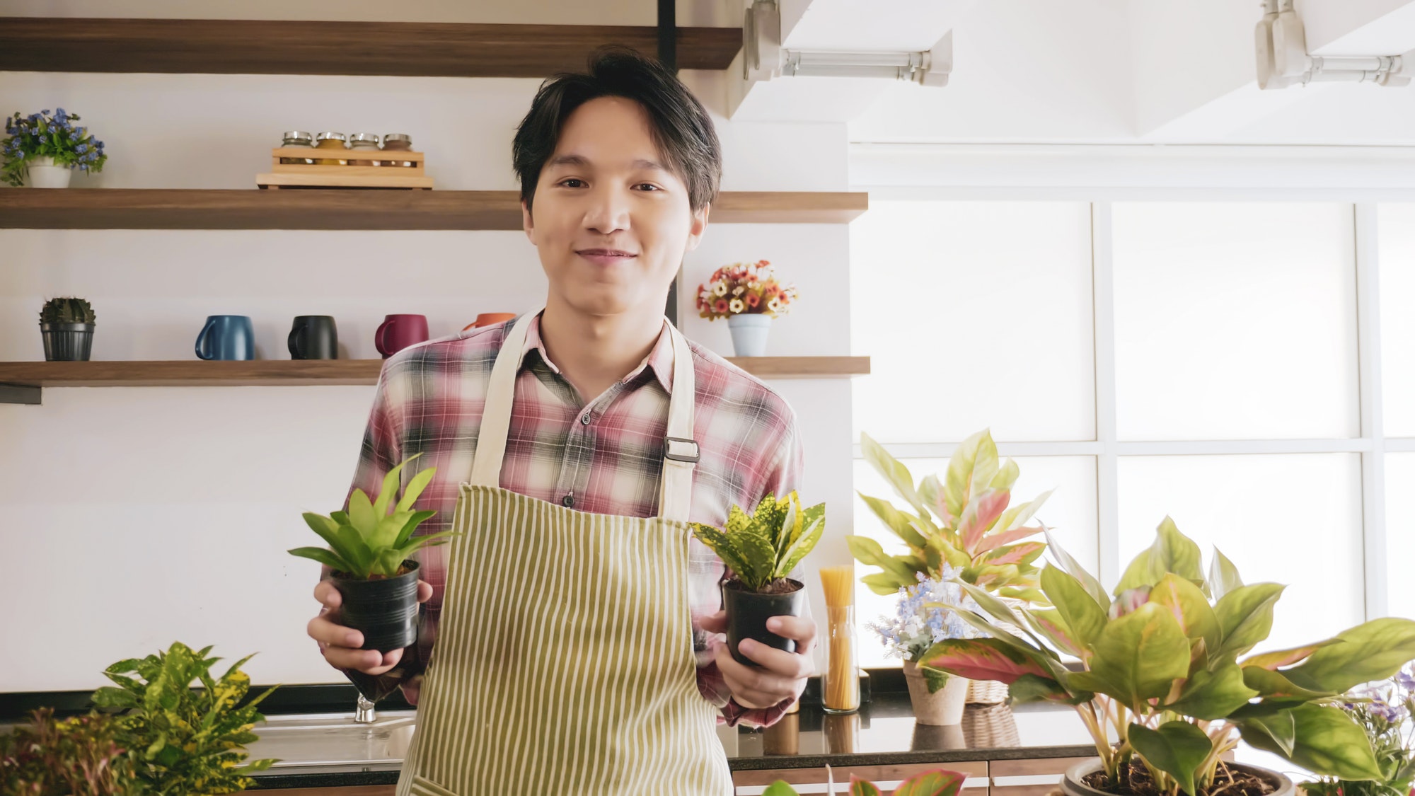 young gardener man holding flowerpot in the room