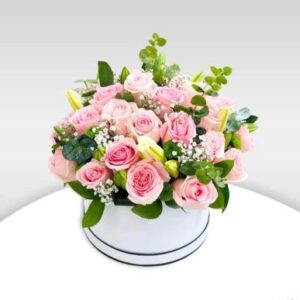 Home 8 messenger of love