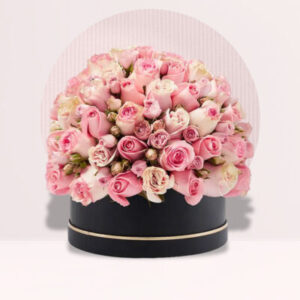 ultimate beauty Black box