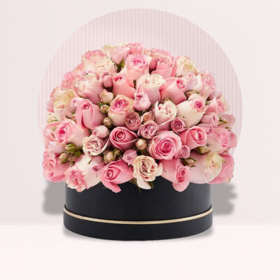 ultimate beauty Black box 1 ultimate beauty Black box